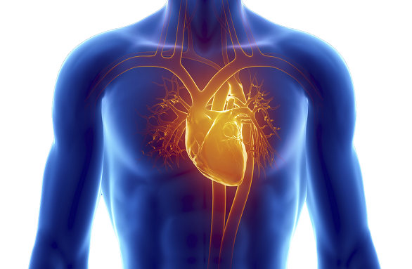 Cardiac autonomic neuropathy test